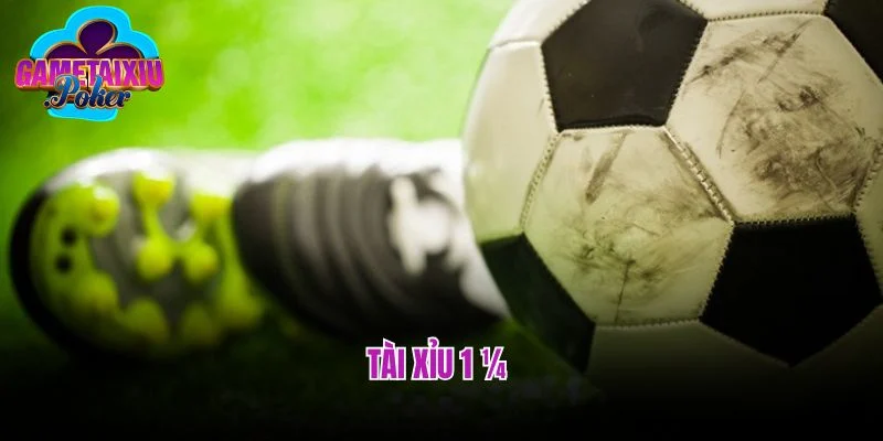 Tài Xỉu 1 ¼ - Hình Thức Đem Lại Hệ Số Trả Thưởng Khủng