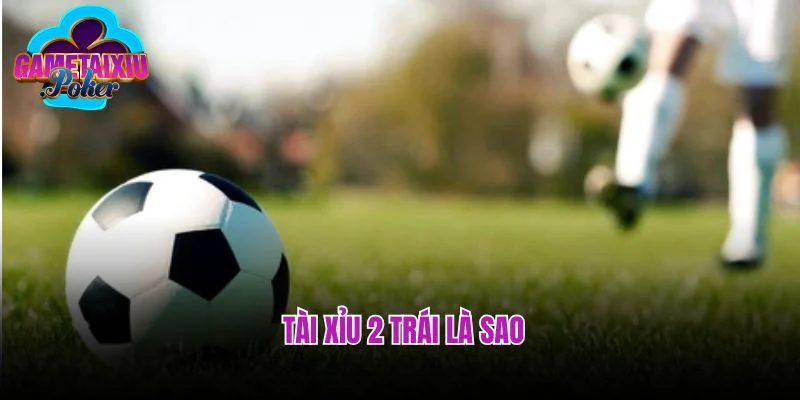 Những Thông Tin Cơ Bản Về Tài Xỉu 2 trái Là Sao? 